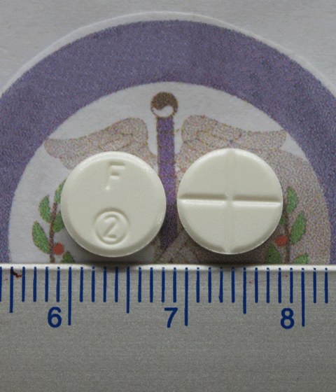 [Image: fm2%E9%A6%96%E5%9C%961.png]